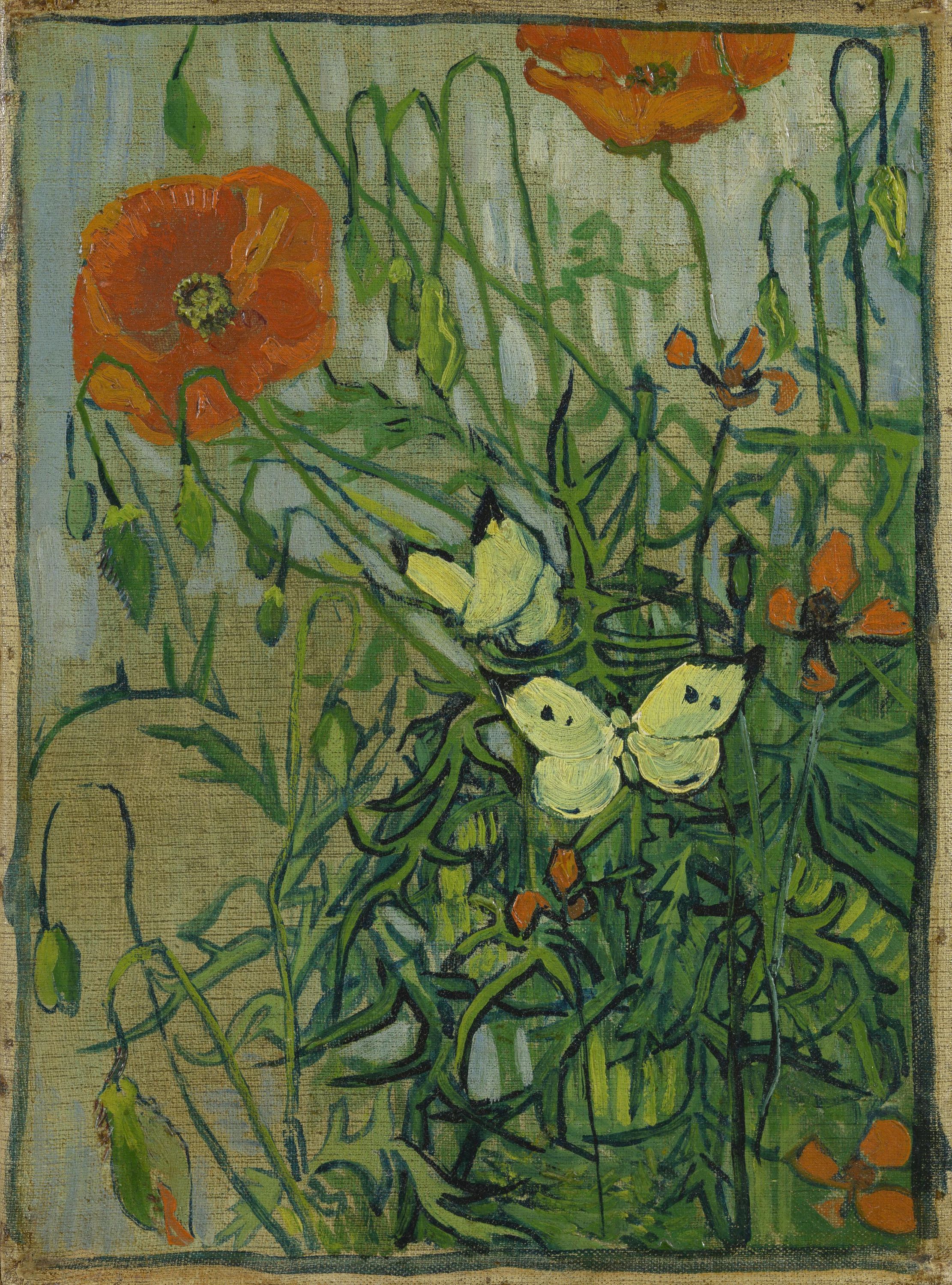 Картина Ван Гога Маки и бабочки 1890